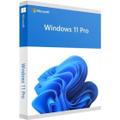 Microsoft® Windows 11 Pro, 64-bit, Engleza, USB