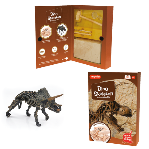 Poze Kit excavare - Dinozaur