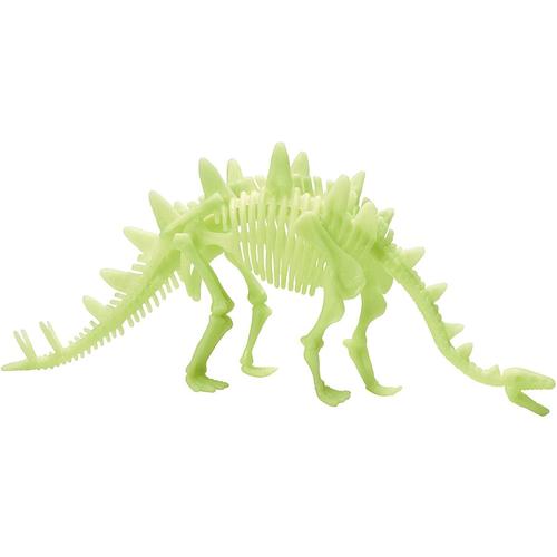Poze Schelet Stegosaurus reflectorizant