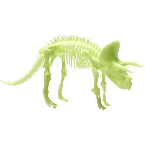 Poze Schelet Triceratops reflectorizant