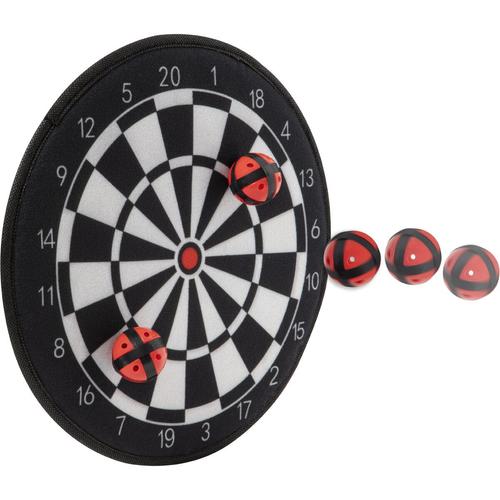 Poze Joc darts cu arici