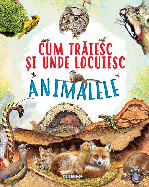 Poze Cum traiesc si unde locuiesc animalele